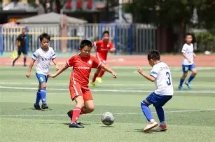 王曼昱冲击,福冈总决赛,女单冠军,B体育,B,SPORTS,B体育官网,B体育官网,B体育下载,B体育APP