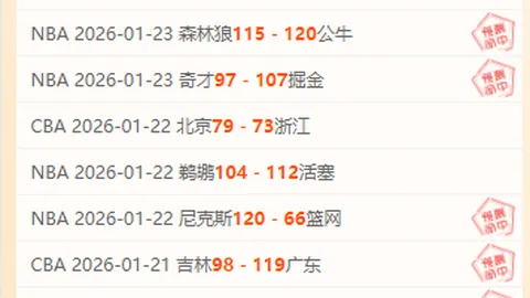 切尔西艰难击败狼队获英超胜利