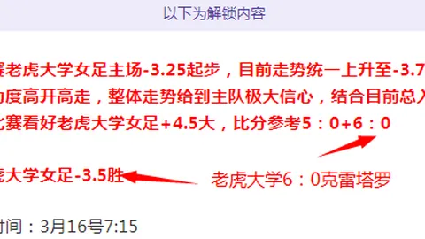 德甲霍芬海姆对云达不莱梅分析预测